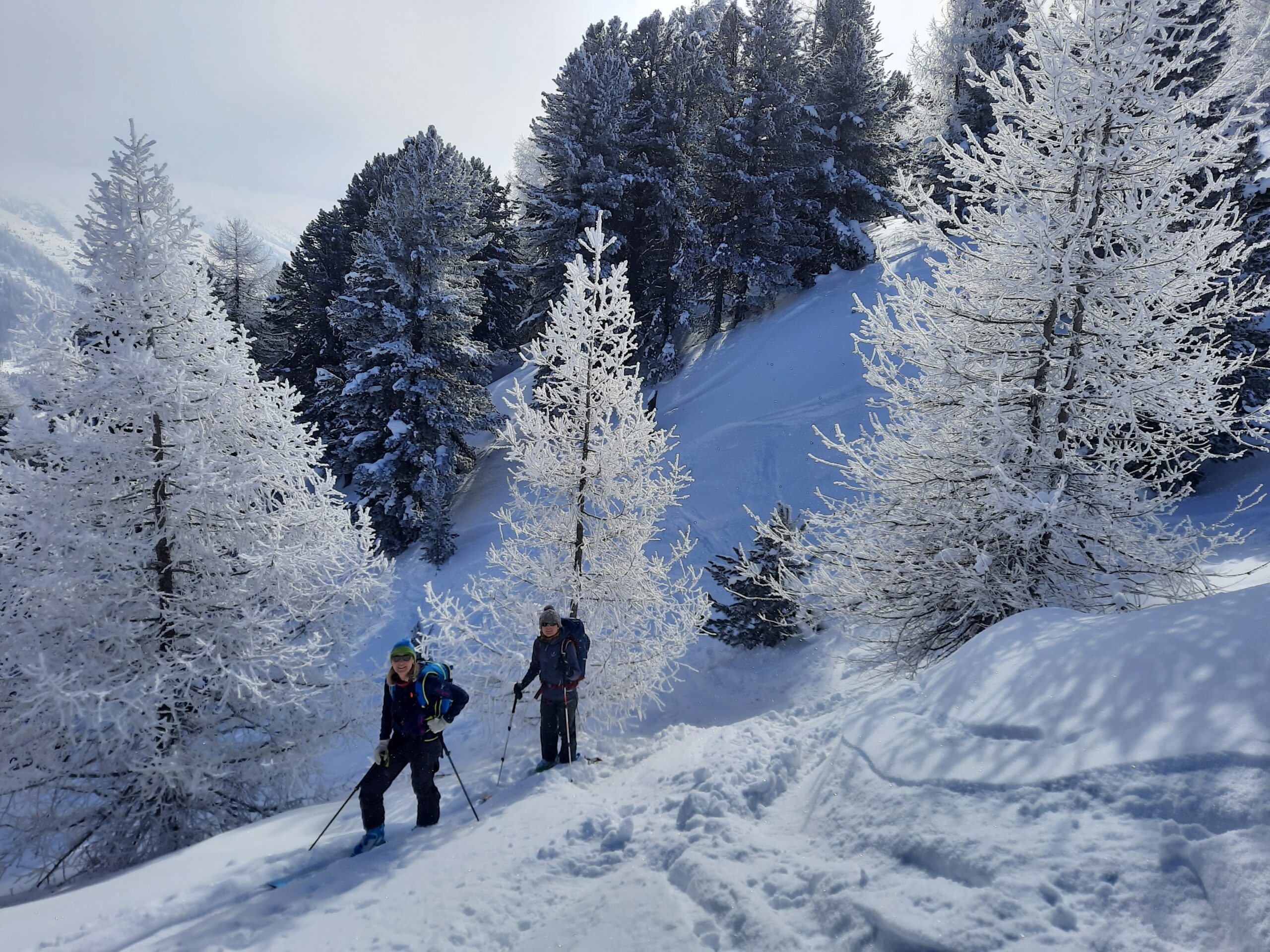 Skitourengänger in verschneitem Engadiner Gelände